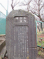 tenen82_thumb.png