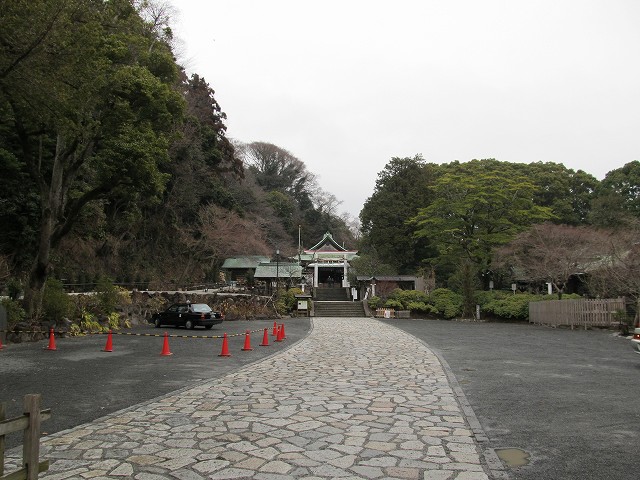 tenen83.jpg