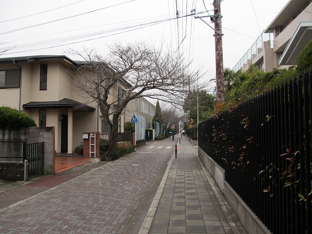 tenen84.jpg