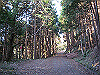 toudake06_thumb.png