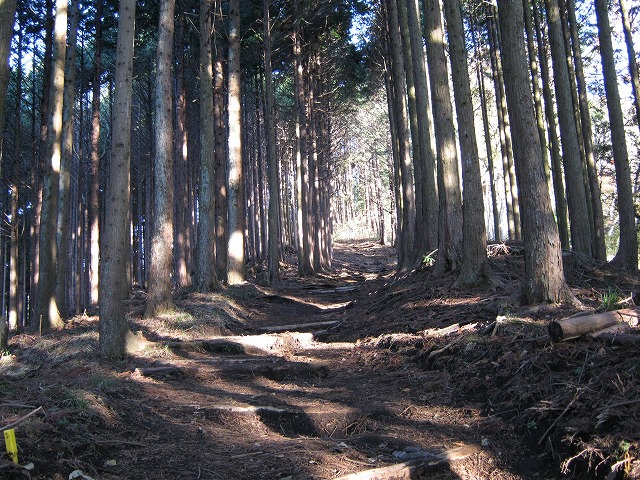 toudake08.jpg