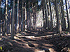 toudake08_thumb.png