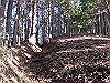 toudake09_thumb.png