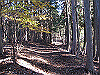toudake10_thumb.png
