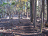 toudake12_thumb.png
