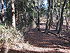 toudake14_thumb.png