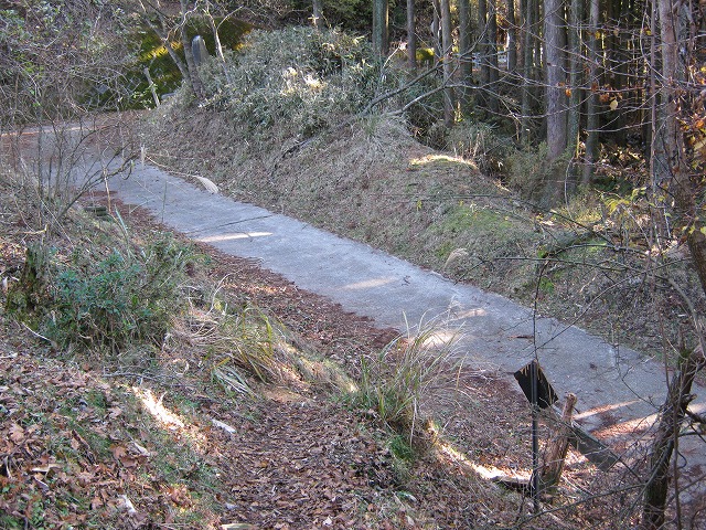 toudake15.jpg