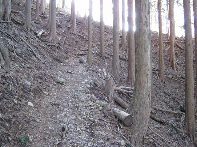 toudake18.jpg