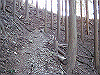 toudake18_thumb.png