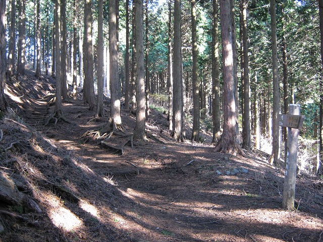 toudake19.jpg