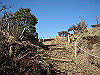 toudake25_thumb.png