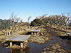 toudake30_thumb.png