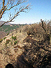 toudake32_thumb.png