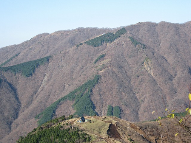 toudake33.jpg