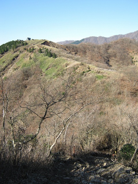 toudake39.jpg