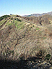 toudake39_thumb.png