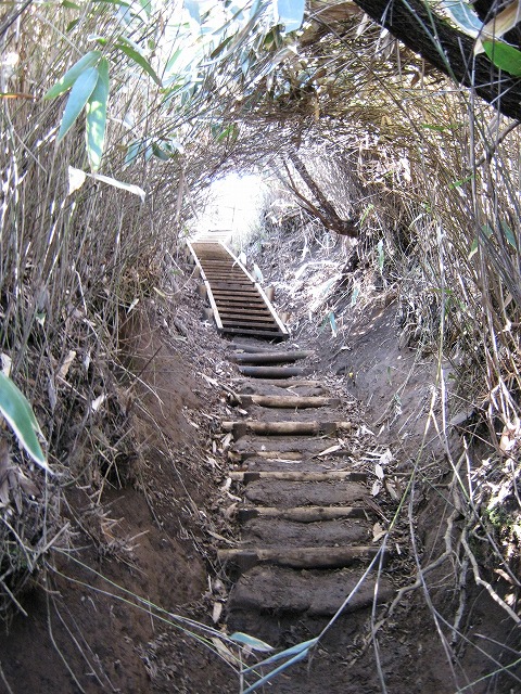 toudake40.jpg