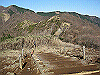 toudake45_thumb.png
