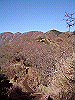 toudake46_thumb.png