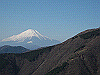 toudake48_thumb.png