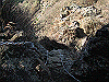 toudake49_thumb.png