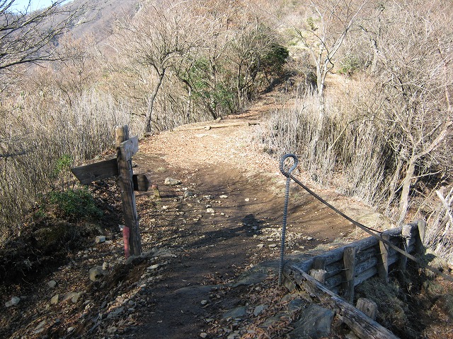 toudake50.jpg