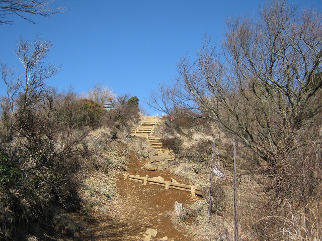 toudake53.jpg