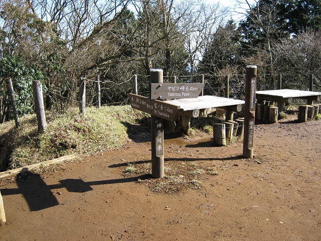 toudake54.jpg