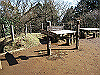 toudake54_thumb.png