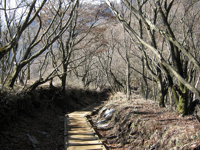 toudake55.jpg