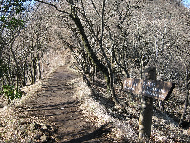 toudake56.jpg
