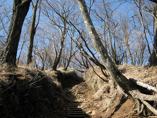 toudake57.jpg