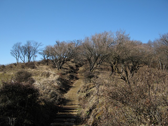 toudake61.jpg