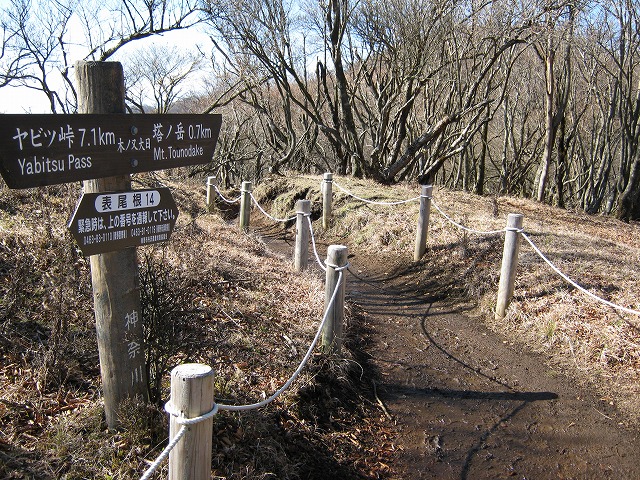 toudake62.jpg