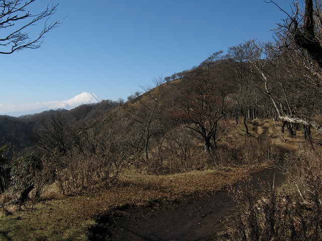 toudake63.jpg