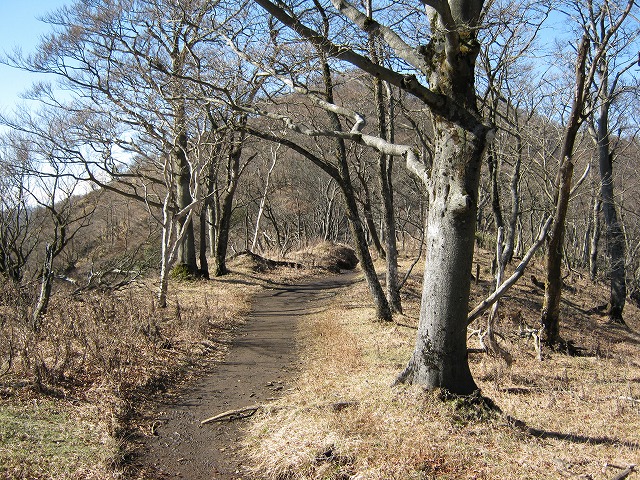 toudake64.jpg