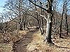toudake64_thumb.png