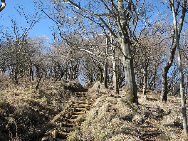 toudake65.jpg