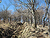 toudake65_thumb.png