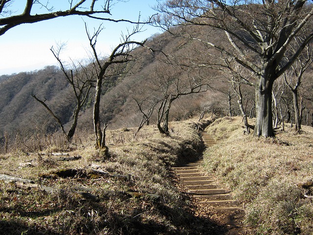 toudake66.jpg