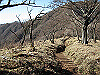 toudake66_thumb.png