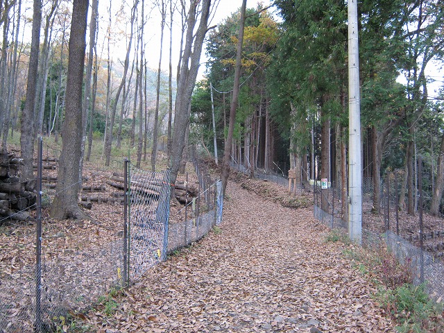 toudake05.jpg