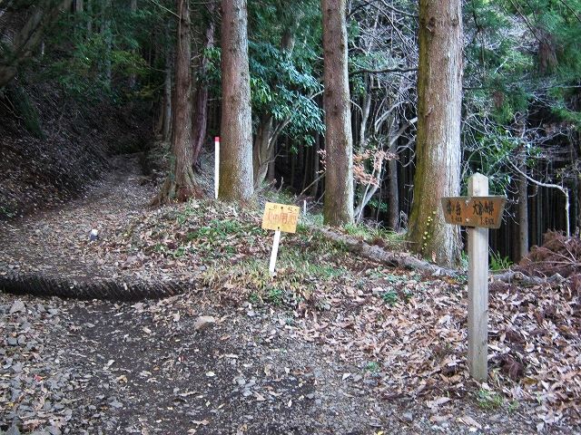 toudake07.jpg