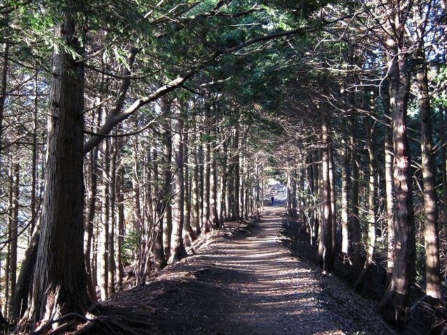 toudake08.jpg