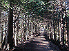 toudake08_thumb.png