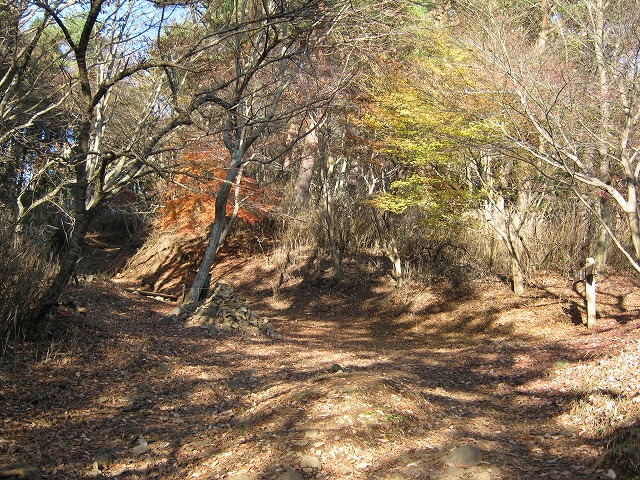 toudake11.jpg