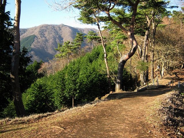 toudake17.jpg