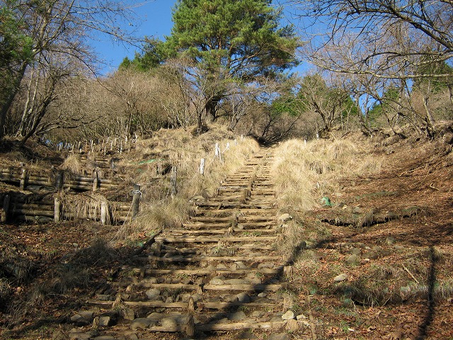 toudake22.jpg