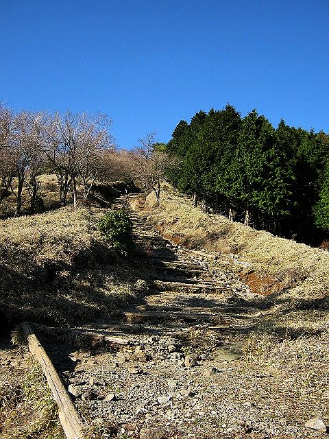 toudake25.jpg