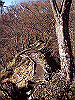 toudake30_thumb.png